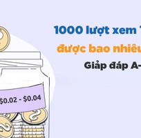 1000 lượt xem TikTok được bao nhiêu tiền