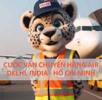 Giá Cước Vận Chuyển Hàng Air Từ Delhi Về Hồ Chí Minh