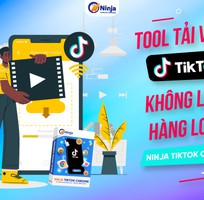 Tool tải hàng loạt video TikTok không logo số lượng lớn