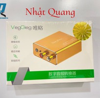 2 Audio quang VegGieg VF101 chính hãng tại Hải Phòng