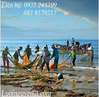 7 Lưới Kéo Cá Lưới Quây Cá Nguyễn Út