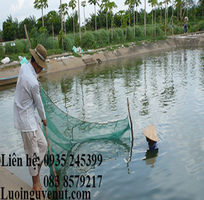 3 Lưới Kéo Cá Lưới Quây Cá Nguyễn Út