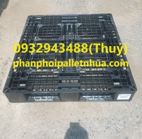 Bán pallet nhựa cũ tại Kiên Giang, liên hệ 0932943488