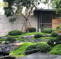 Thi công sân vườn kiểu Nhật tiểu cảnh ở Đồng Nai