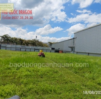 Dịch vụ cắt cỏ phát hoang mùa mưa giá tốt ở HCM, Đồng Nai