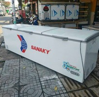 1 Tủ Đông Sanaky 900L