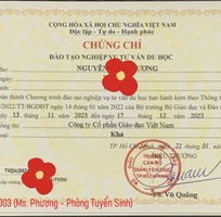 1 Mở lớp chứng chỉ tư vấn du học ngắn hạn