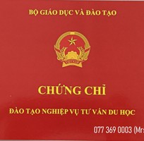 Mở lớp chứng chỉ tư vấn du học ngắn hạn