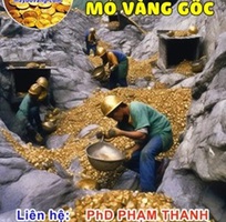 Dịch vụ khảo sát thăm dò mỏ vàng gốc