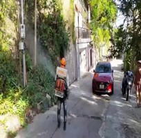 Diệt mối phường 5 Vũng Tàu