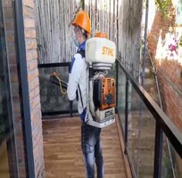 2 Diệt mối phường 5 Vũng Tàu