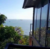 3 Diệt mối phường 5 Vũng Tàu