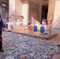 Diệt mối phường 8 Vũng Tàu