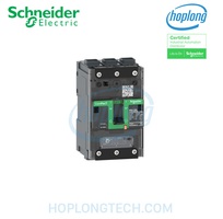 Tìm hiểu phạm vi điều chỉnh ở bộ ngắt mạch tự động Schneider C11F6TM032L