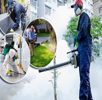 1 Diệt muỗi Vũng Tàu hiệu quả