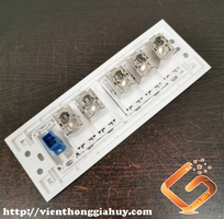 Nhân mạng âm tường Cat6A  Ancomteck lắp cho mặt wide âm tường.