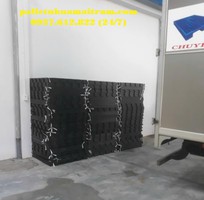 Bán pallet nhựa Tiền Giang giá tốt nhất hiện nay