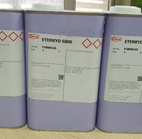 1 Phụ gia xúc tác kết dính Eterkyd 5800 tăng bám dính cho sơn