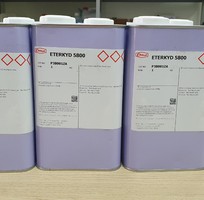 Phụ gia xúc tác kết dính Eterkyd 5800 tăng bám dính cho sơn
