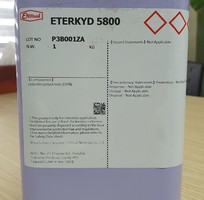 2 Phụ gia xúc tác kết dính Eterkyd 5800 tăng bám dính cho sơn