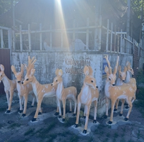 2 Cơ sở mình chuyên sản xuất các loại con giống,chất lượng bằng xi măng