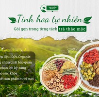 Các cách làm trà hoa cúc tại nhà