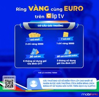 Hòa nhịp Euro   Cùng MobiFone rinh Vàng ròng