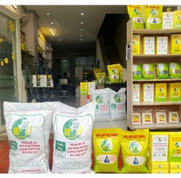 Vì sao gạo ST25 Ông Cua luôn là lựa chọn hàng đầu cho bữa cơm gia đình