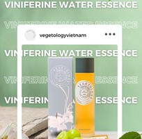 1 Viniferine có trong Mỹ Phẩm Thần Chay VEGETOLOGY