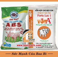 2 BAO PP DỆT CAO CẤP ghép màng OPP in ống đồng sản xuất theo yêu cầu