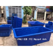 2 Thùng nhựa chữa nhật 1000l Ms Nguyệt