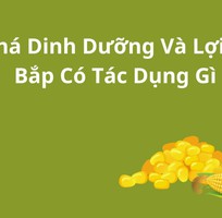 Khám Phá Dinh Dưỡng Và Lợi Ích: Trái Bắp Có Tác Dụng Gì