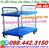 1 Xe đẩy hàng 2 tầng sàn nhựa 300kg