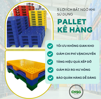 Đừng bỏ lỡ: 5 lợi ích bất ngờ khi sử dụng Pallet kê hàng