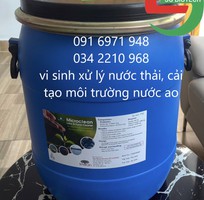 Mua bán sỉ MICROCLEAN vi sinh cải tạo môi trường nước ao hồ