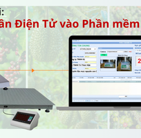 Lấy dữ liệu từ cân điện tử vào phần mềm quản lý doanh nghiệp TTV