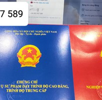 Chứng chỉ sư phạm hệ trung cấp cao đẳng