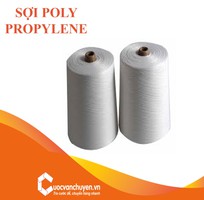 Thủ Tục Nhập Khẩu Sợi Poly Propylene