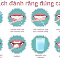 Cách đánh răng đúng, ngăn ngừa mảng bám, bảo vệ răng chắc khỏe