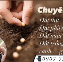 Cung cấp đất màu, đất trồng cây phù sa màu mỡ tại Đồng Nai, Long An