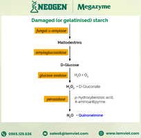 1 Starch Damage Assay Kit - Neogen - Megazyme