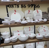 9 Bền đẹp, an toàn, giá tốt - Chén dĩa NHỰA Melamine Superware chính hãng