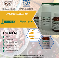 Amylose Assay Kit