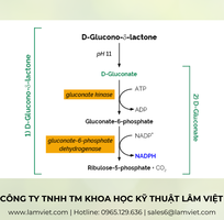 1 B-Glucan Assay Kit  Mixed Linkage  - Neogen - Megazyme