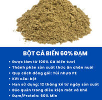 Bột Cá Biển 60 Đạm - Sản Xuất Tại Việt Nam - Giá Tốt Nhất