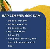 Bắp Lên Men 60 Đạm - Chất Lượng Đỉnh Cao Từ Việt Nam