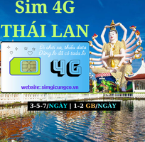 SIM du lịch, Wifi quốc tế, Máy phiên dịch.