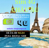 2 SIM du lịch, Wifi quốc tế, Máy phiên dịch.