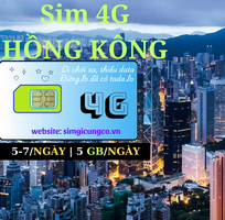 5 SIM du lịch, Wifi quốc tế, Máy phiên dịch.