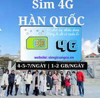 6 SIM du lịch, Wifi quốc tế, Máy phiên dịch.